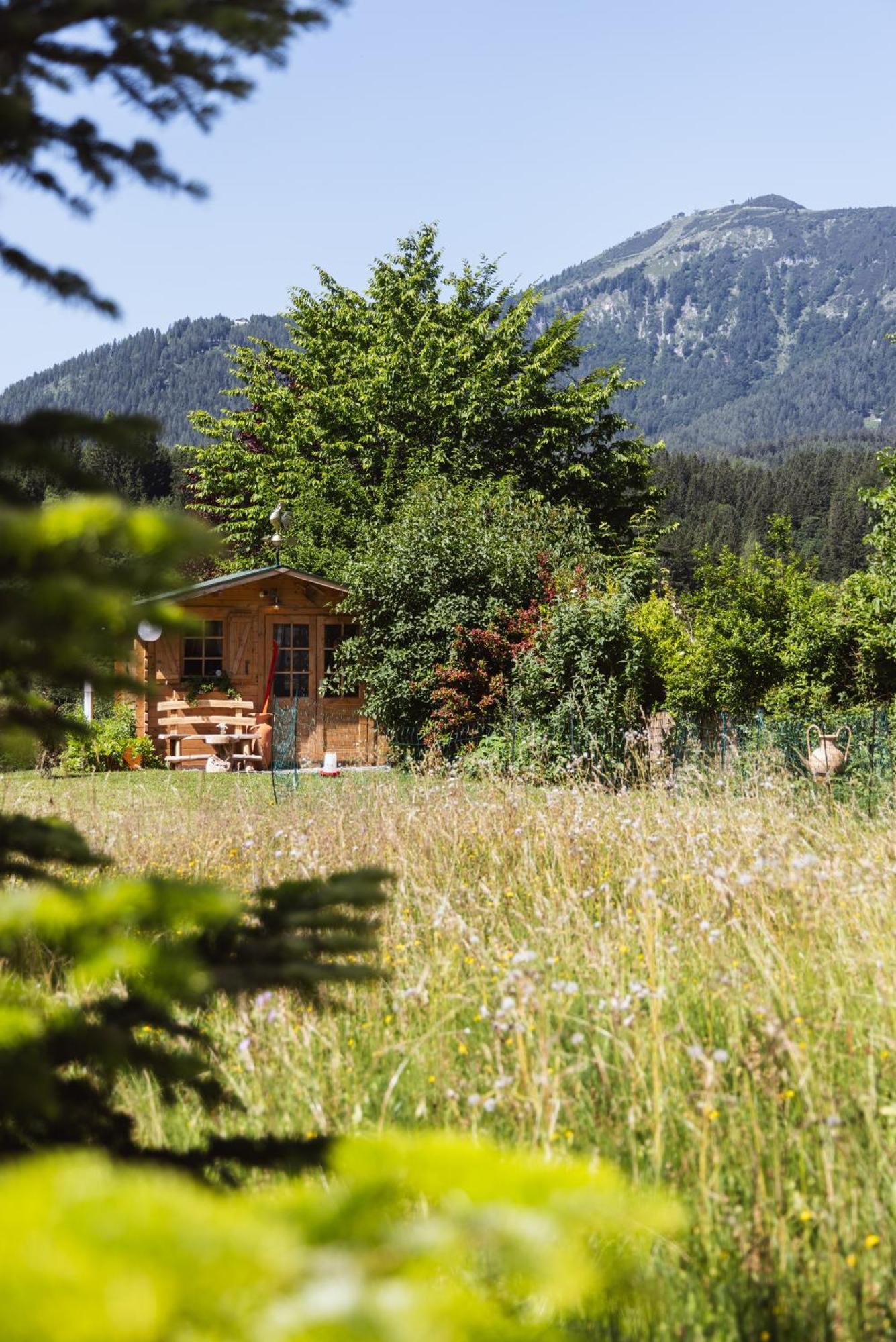 Pension Klug Adults Only - Dorfresort מיטרבאך מראה חיצוני תמונה